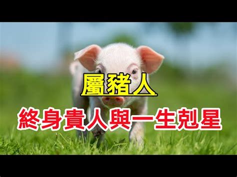 屬豬的小人|貴人旺財，小人敗財：屬豬人命中的貴人與小人